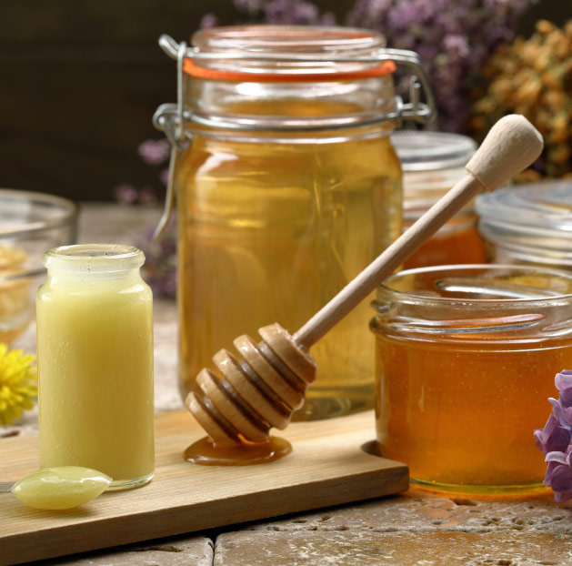 Você sabe o que são produtos apícolas e quais seus principais benefícios para a saúde humana?