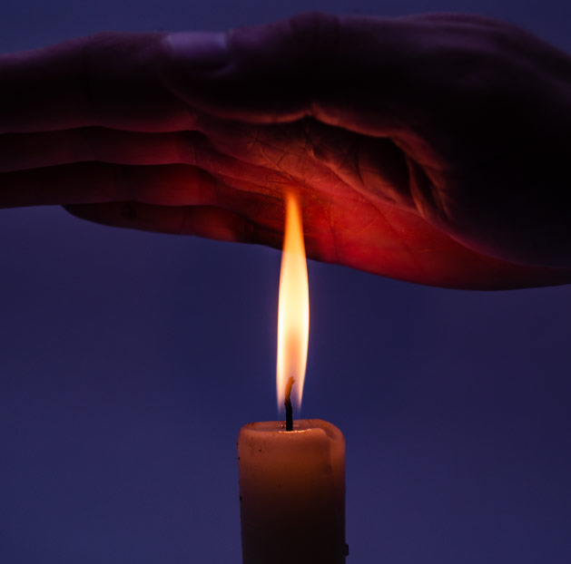 Qual a relação do Prêmio Nobel de Medicina deste ano com a sua saúde?