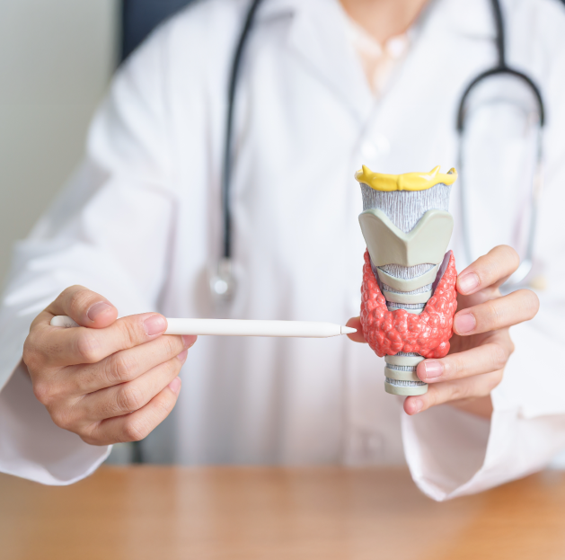 Hipotireoidismo: o que fazer quando os sintomas persistem?