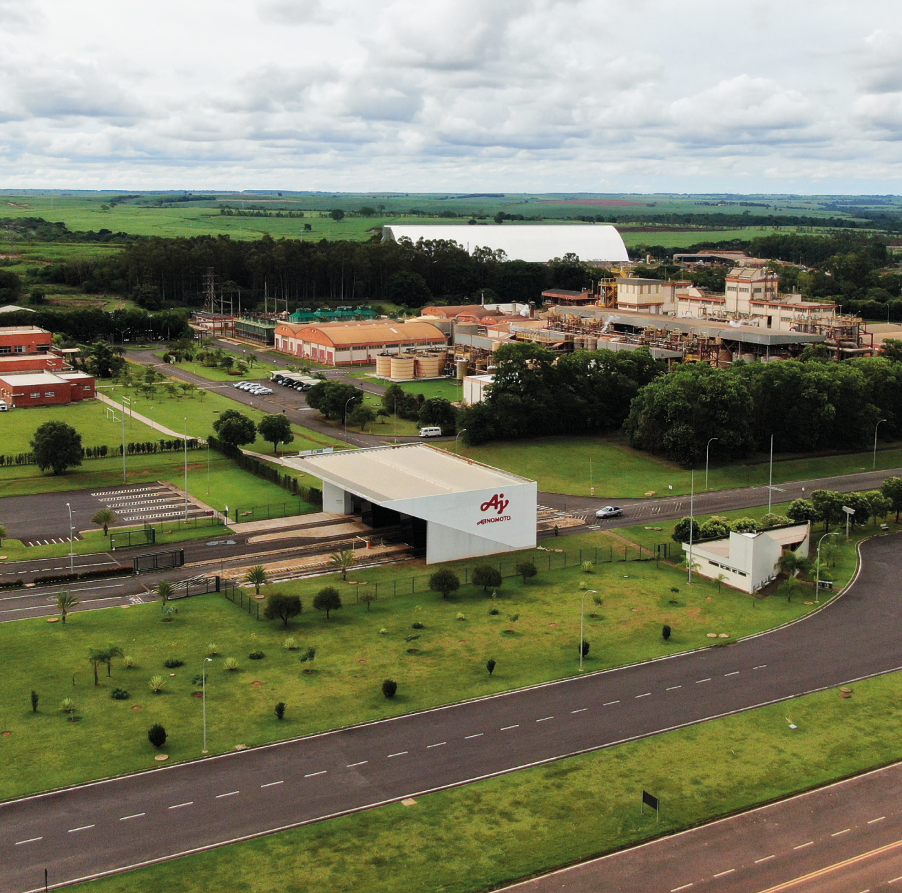 Referência mundial na produção de aminoácidos: conheça a Ajinomoto