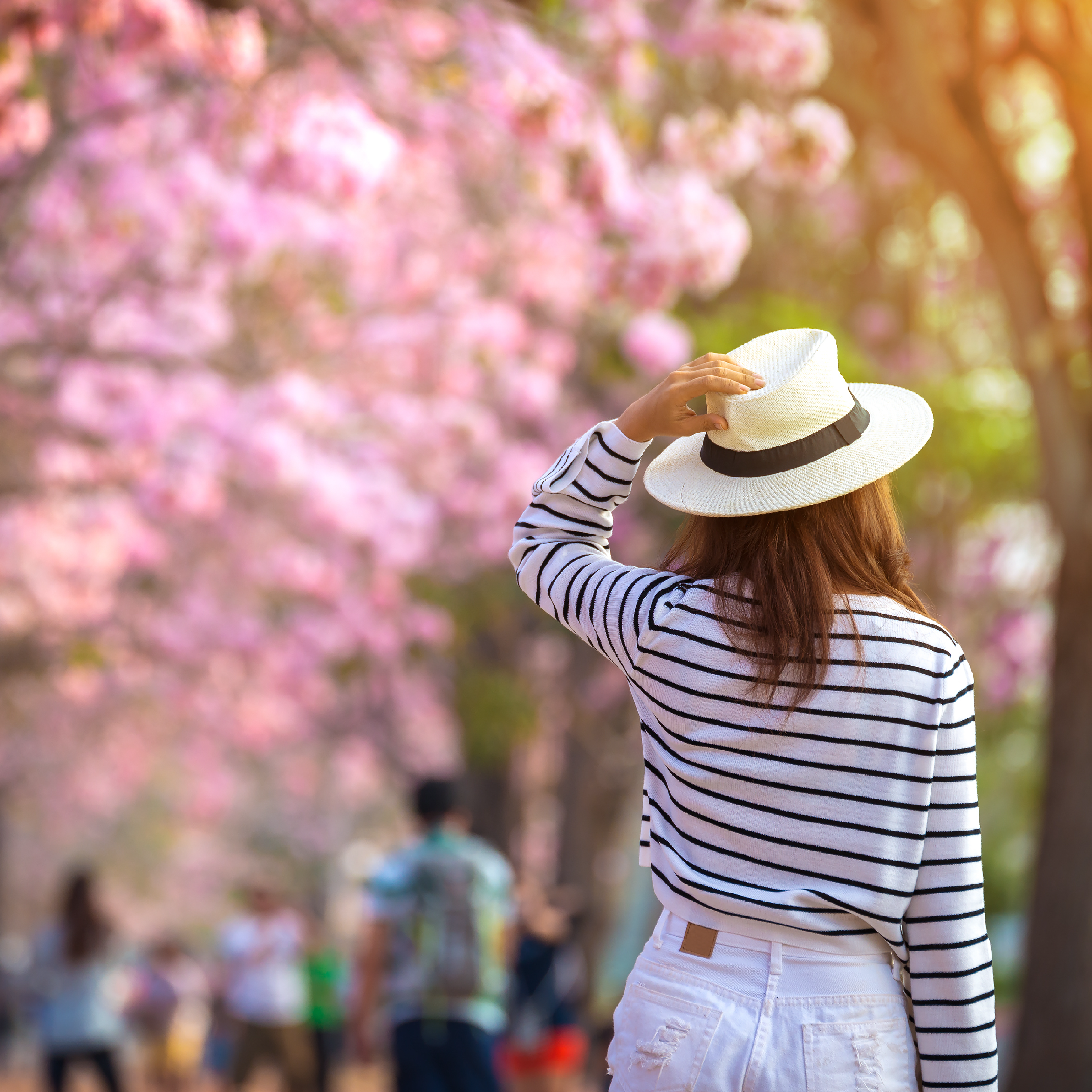 Como a chegada da primavera pode interferir na nossa saúde?