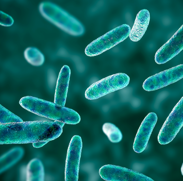 Você sabe o que são MAMPs?