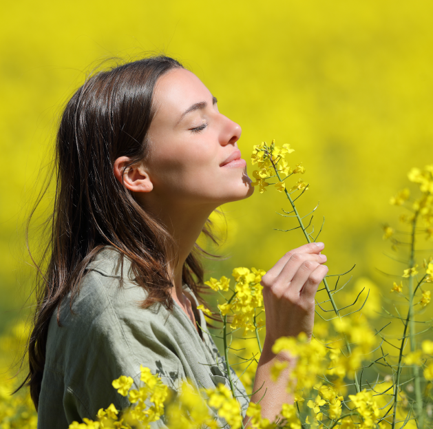 Conheça os benefícios dos extratos vegetais para a saúde mental