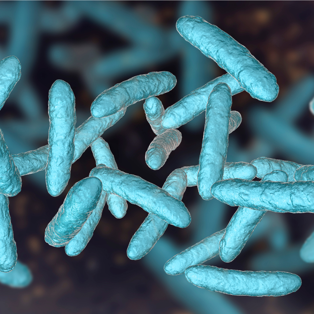 Imunidade e intestino: você conhece a relação?